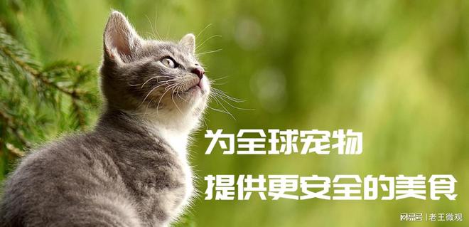 匠心品质引领宠物食品新风尚不朽情缘模拟器汉欧宠物：
