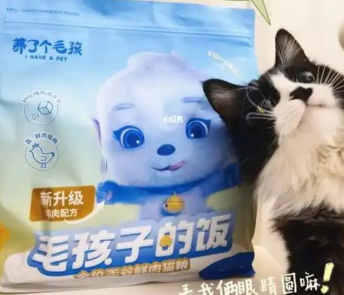 粮！三只松鼠靠什么重返宠物食品赛道不朽情缘正版零食巨头盯上毛孩子口(图2)