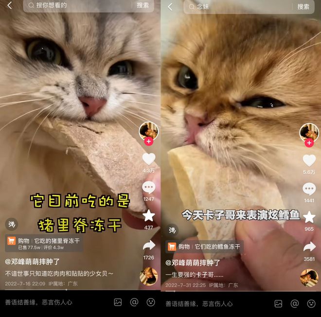 op3这条千亿赛道杀出一匹黑马不朽情缘首页年销2亿抖音类目T(图2)