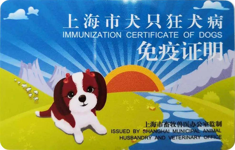 “犬风铃”行动在闵行正式“领响”！不朽情缘模拟器“犬免疫人安全！”(图6)