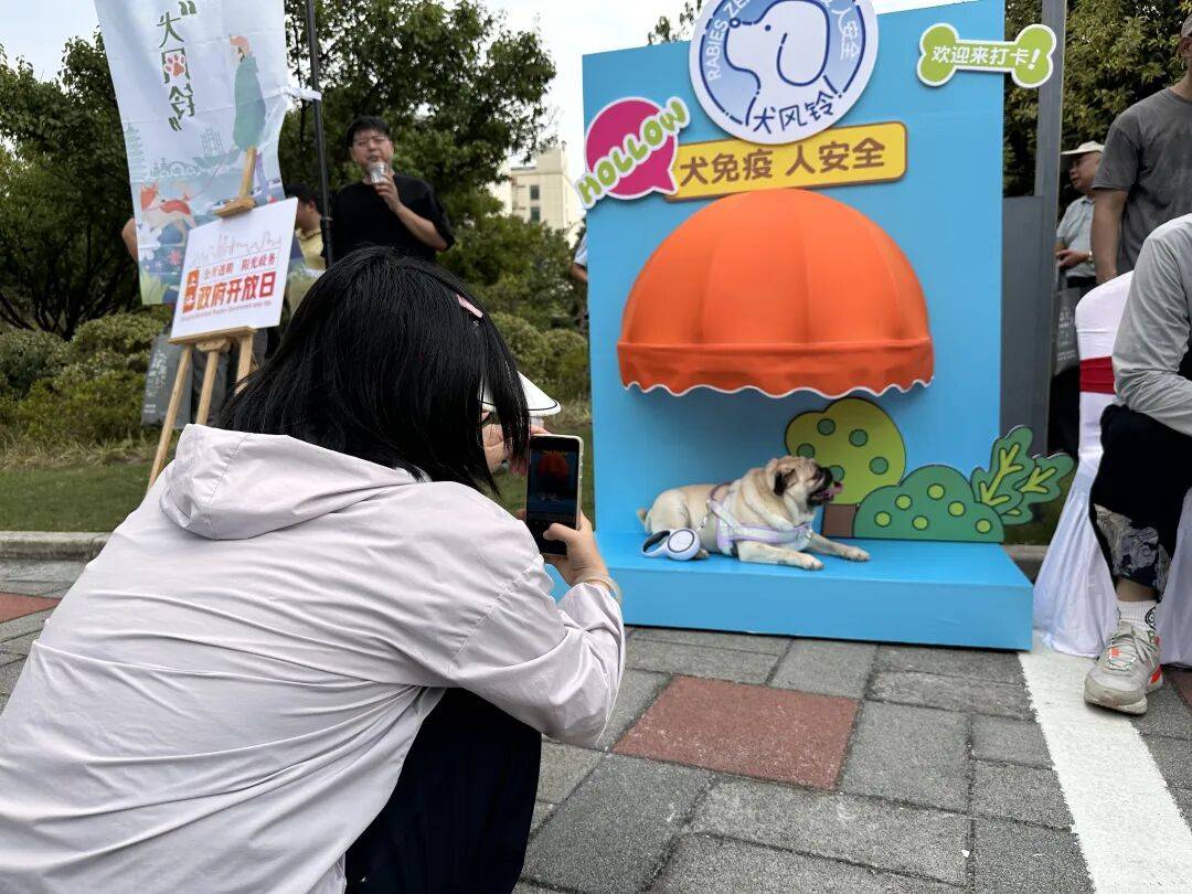 “犬风铃”行动在闵行正式“领响”！不朽情缘模拟器“犬免疫人安全！”(图7)