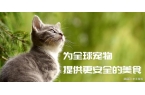 匠心品质引领宠物食品新风尚不朽情缘模拟器
